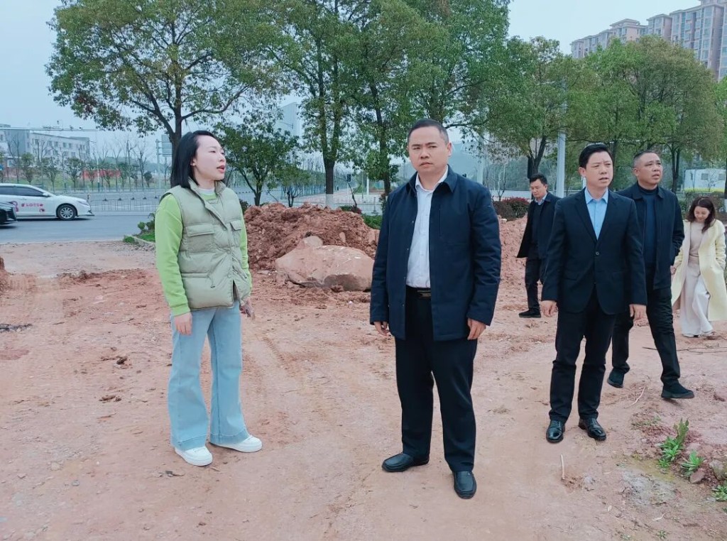 宋光鑫调研铜桥路(一期)项目和片区环境改善工作