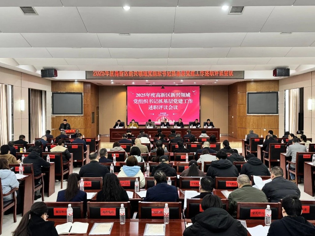 衡阳高新区召开新兴领域党组织书记抓基层党建工作述职评议会