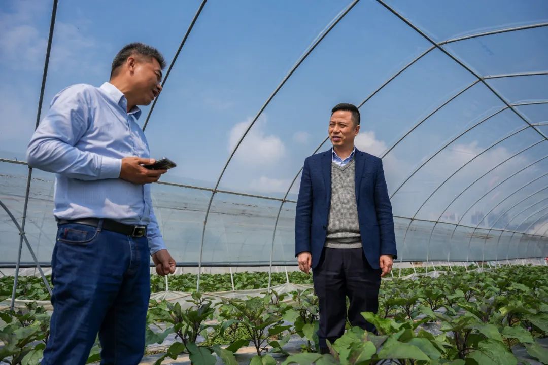 胡小刚深入田间地头巡田护耕